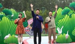 西医爆料癌症案例最新视频,西医视角下的治疗挑战与希望